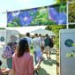 How To Get Wimbledon Tickets - Time & Leisure