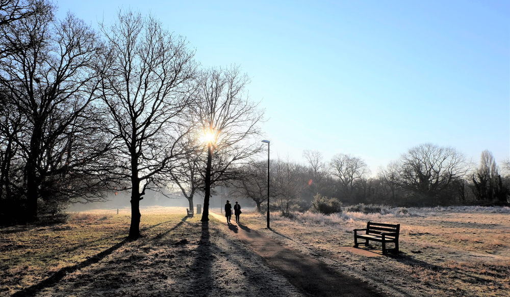 Frosty Morning, Barnes Common - alastair wilson clarke
