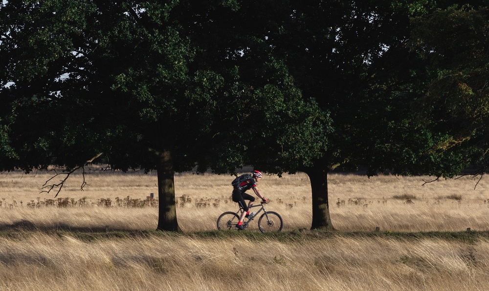 Best Surrey Bike Routes for Budding Cyclists