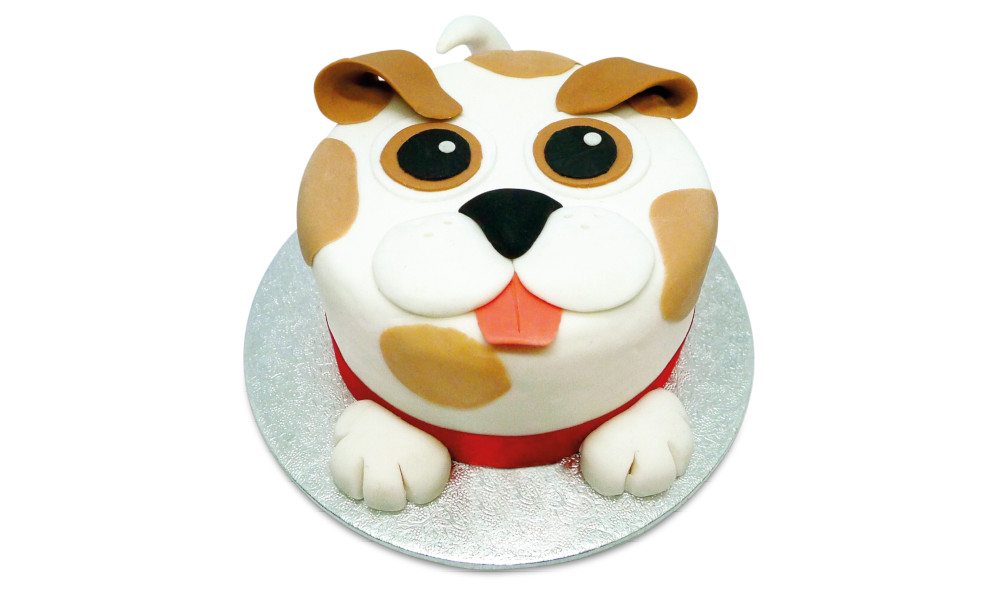 Animal themed cake kits
