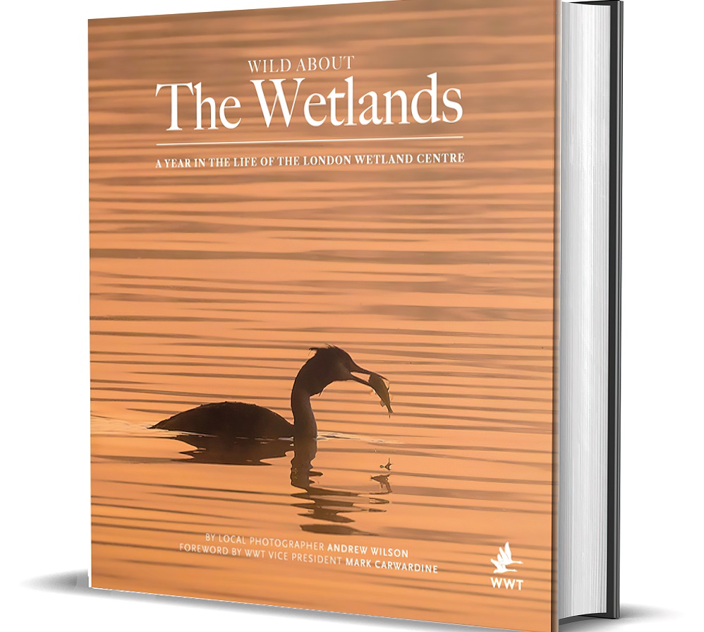 Wild about The Wetlands