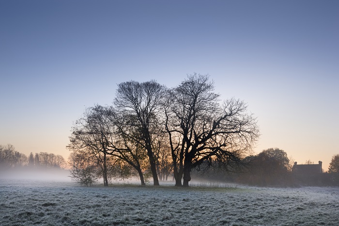 A winter's dawn at Morden Hall Park ©National Trust Images Andrew Butler